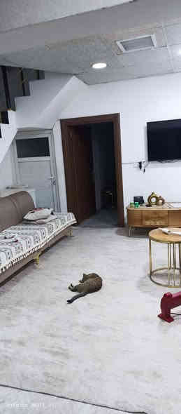 دار للبیع عن طریق المصرف العقاری او بیع نقدی. 100متر طابقین بناء 2018بناء نضیف  العنوان حی الاسری خلف دائره الكهرباء ثلاث غرف نوم استقبال و مطبخ و صحیات ***********
السعر 123مع مجال
