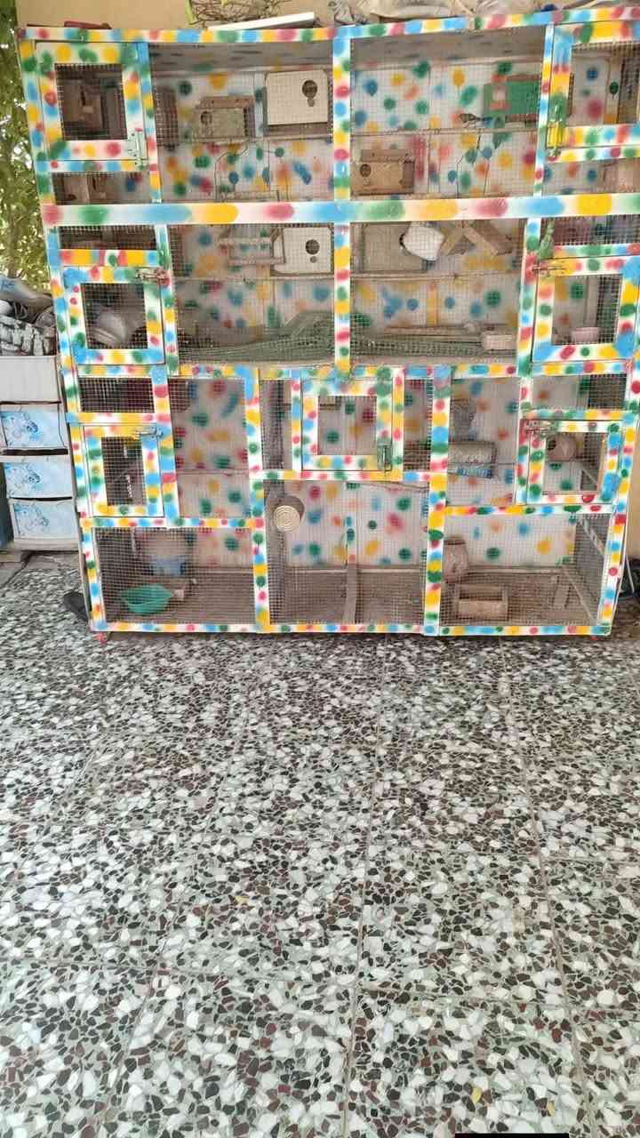 قفص للبيع مكان حله
