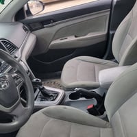 النترا • ٢٠١٧ • وارد أمريكي