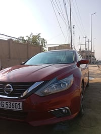 التيما • ٢٠١٧ • رقم اربيل