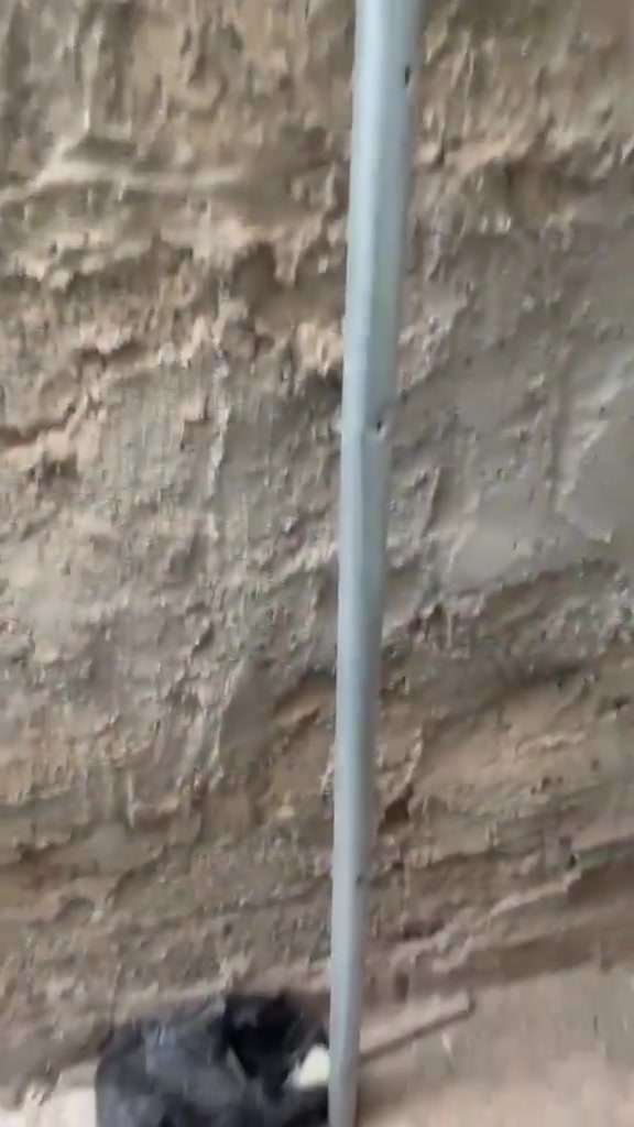 بوري مال شبكه ب 8


**إذا كنت صاحب هذا الإعلان وتريد حذفه لأي سبب، رجاءا أرسل رسالة إلى الدعم الفني**