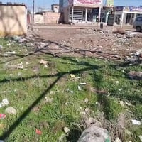 قطعة 200 ركن زراعي   117 مشموله في التطويب على شارعين تبليط  مي خطين  ...