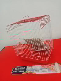 قفص • نضيف • الدوره