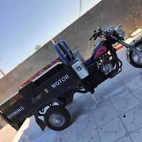 فحل • ستوته • ٢٠٢١