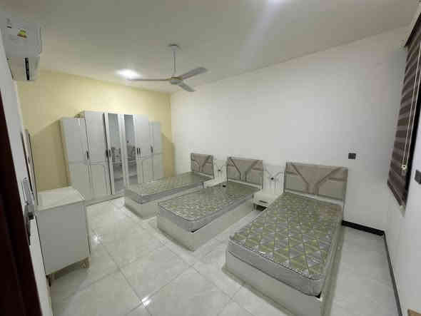 شقق مؤثثة للإيجار 
بناء حديث+مصعد
مكونة من صالة ومطبخ وغرفتين نوم وخدمات 
العنوان شارع فلسطين 
للاستفسار/***********
