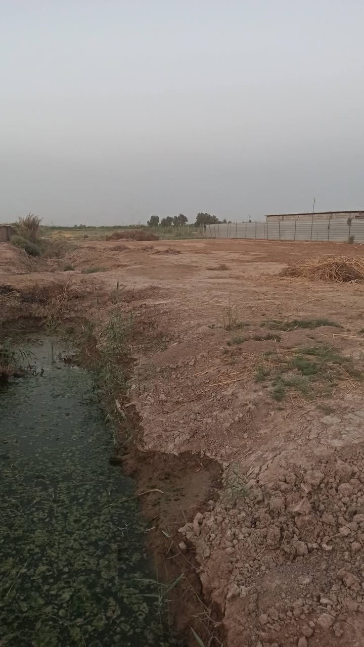 دونم ملك صرف للبيع ، شارع المشروع قرب الشلالات ، قريب من الشارع . الدونم على شارع مبلط إضافة إلى وجود اروائي السقي على مدخل الأرض بعدها شارع مبلط ، مع وجود مبزل لغرض تصريف المجاري ينفع لجميع الاغراض ( سكني ، زراعي ، صناعي)
وجود خدمات كاملة ( كهرباء ، ماء اسالة ، مجاري) ومنطقة هادئة .
الاتصال ***********
