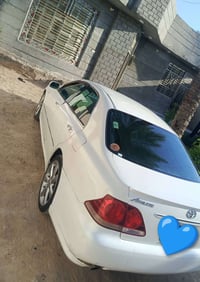 شاهينه • ٢٠٠٧ • شاصي ١٨٤