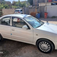 صني ٢٠١١ • ابيض صدفي • صبغ الدوس