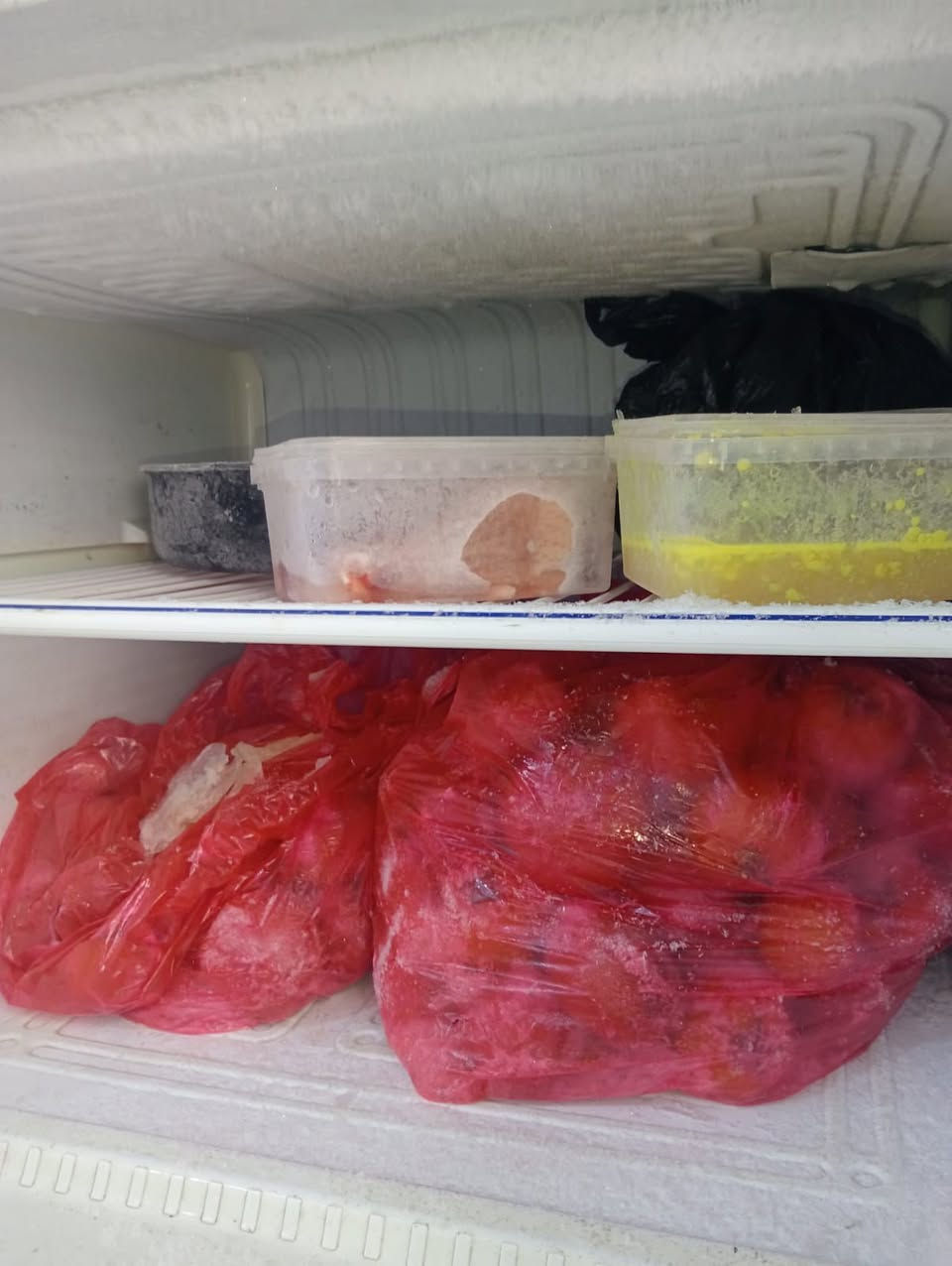 ثلاجة كونكورد 16 قدم 
شغالة تجميد فول 
للاستفسار عن السعر خاص 

مكاني الحسينيه راشدية


**إذا كنت صاحب هذا الإعلان وتريد حذفه لأي سبب، رجاءا أرسل رسالة إلى الدعم الفني**