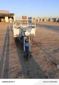 ستوتين • ام الطير • موديلات ٢٠١٨ ٢٠١٦