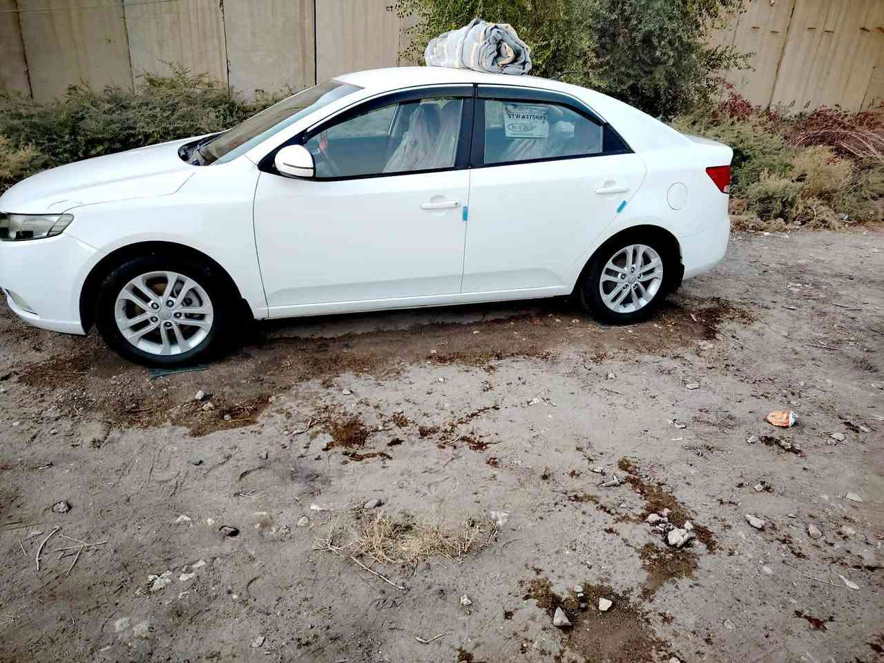 السلام عليكم ورمضان كريم سيراتو ٢٠١٢ ابيض خليجي رقم أربيل راعيها بالنجف تريد مداور تريد وكاله تحكم  ستيرن جهتين اشاير بالمري مري شفط حساسات خلفيه كير 6 نمر. مكينه 1600 دوش تبريد تدفئه خير من الله
ماشيه 285 السياره كفاله ماعدا بيها شبر بالبنيد أثر جويه (حرق) السعر 110 وبيها مجال قليل حك الجيه فقط
مكاني نجف


**إذا كنت صاحب هذا الإعلان وتريد حذفه لأي سبب، رجاءا أرسل رسالة إلى الدعم الفني**