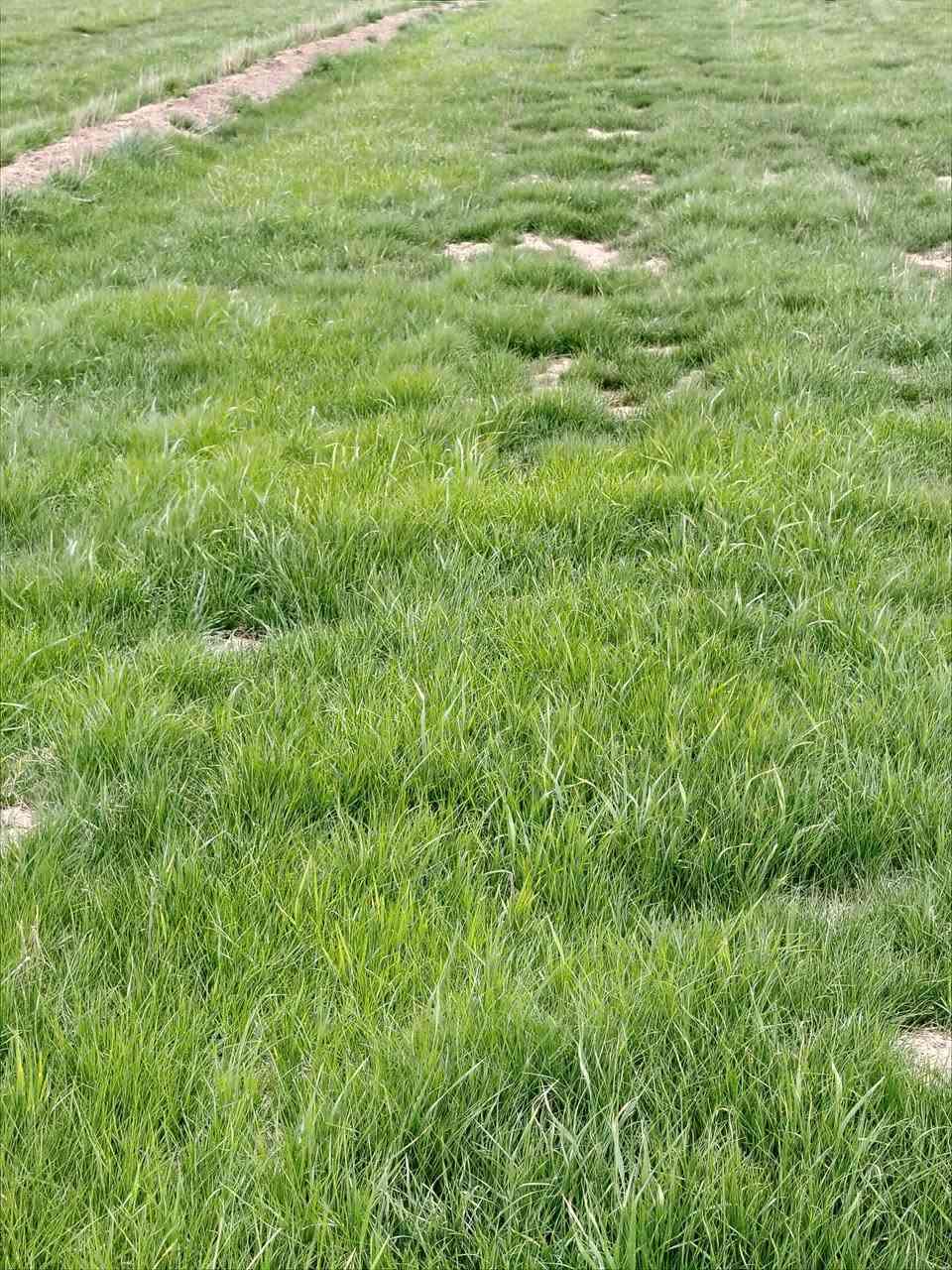 10دوانم دغل للبيع /علئ نتصال ع رقم
***********
