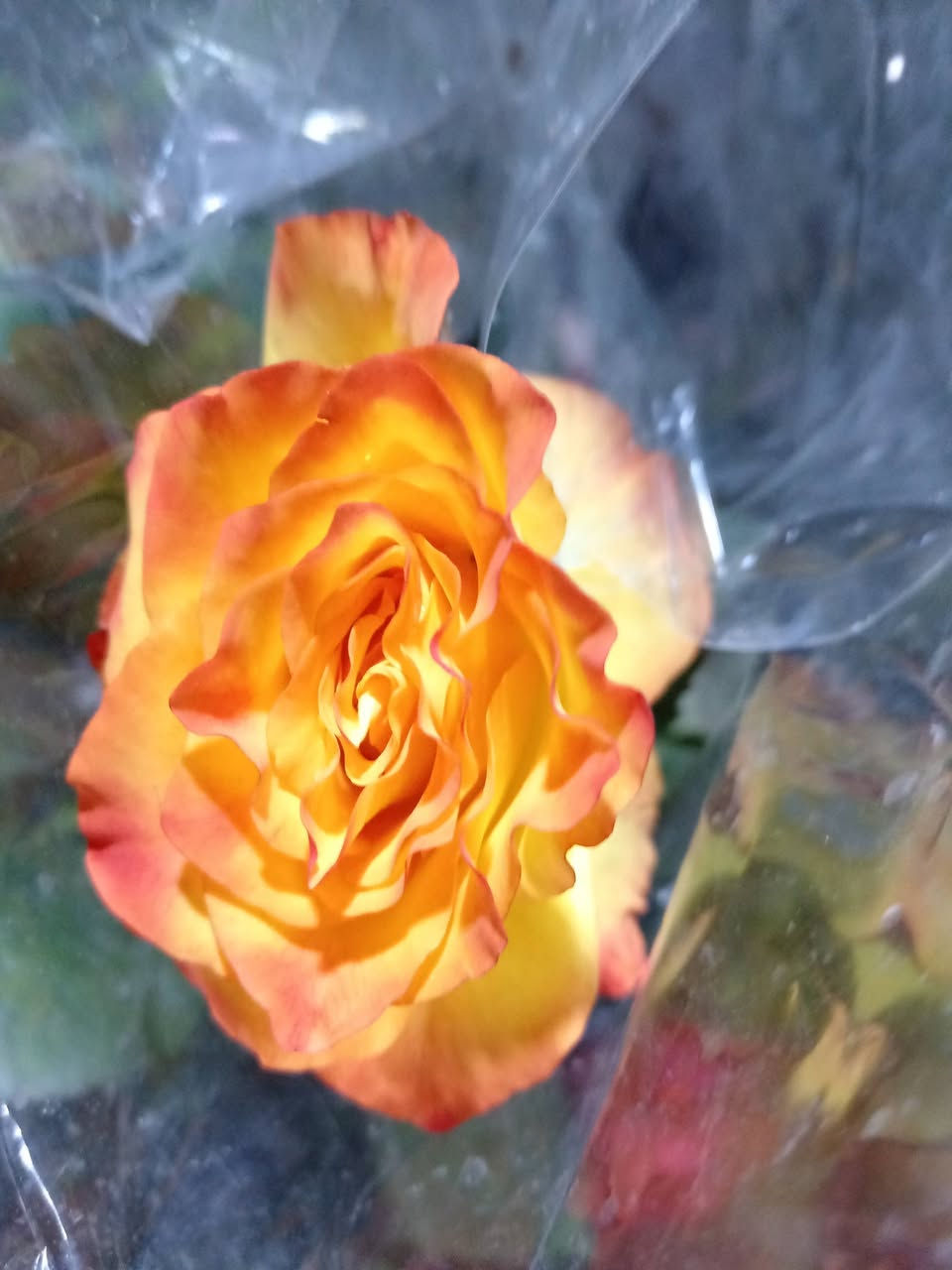 على بركة الله ♥

مسواك جديد في مشتل ابوبكر الفرع الثاني 

#العنوان_القائم_حصيبة 
شارع ابو رندة القديم شارع صيدلية النبع مقابل قرطاسية ديار الأمل 

الإتصال *********** مشتل ابوبكر
