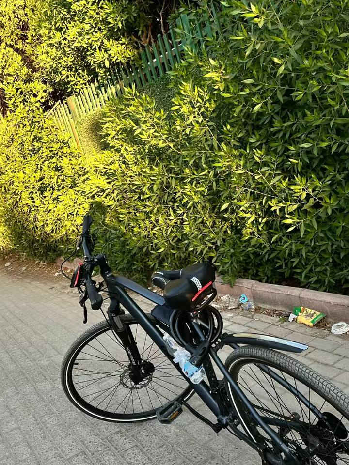 السلام عليكم 
بايسكل للبيع  الاسم: Power Flex
الموديل: 2.0
الشركة: Univega
الفئة: Fitness / Urban Bike 
البايسكل بالكامل من الألمنيوم خفيف جدا تايرات نوع( Kenda )
اسم الكير والبرك (MicroSHIFT) 
البايسكل مشتري بسعر 740 دولار خال الصوره للبايسكل رجا للميعرف ليطب ارياسني للشراي السعر ٥٢٥ وبي مجال للطيبين ‏:للاستفسار واتساب
774 417 3698


**إذا كنت صاحب هذا الإعلان وتريد حذفه لأي سبب، رجاءا أرسل رسالة إلى الدعم الفني**