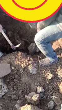 كاشفات معادن • نظام الحث النبضي • أعماق فوق ٣م