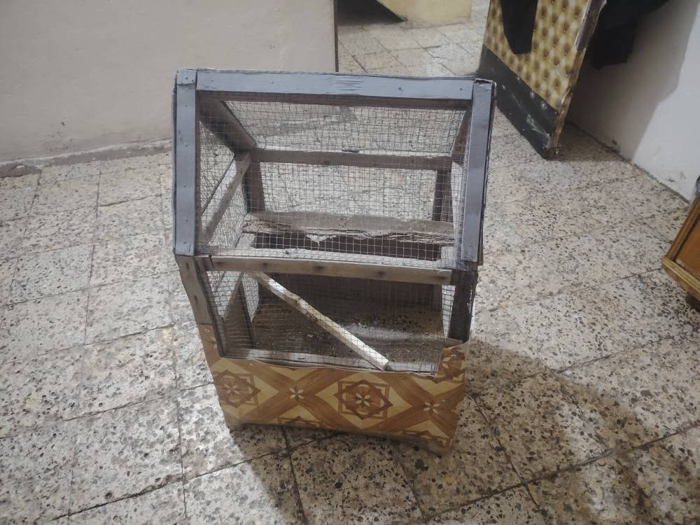 قفص للبيع عمارة, ميسان


**إذا كنت صاحب هذا الإعلان وتريد حذفه لأي سبب، رجاءا أرسل رسالة إلى الدعم الفني**
