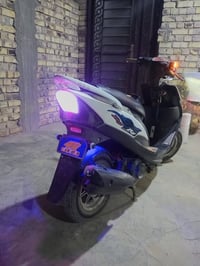 ماكس عدلة • بوشه ٤٩ • سلف