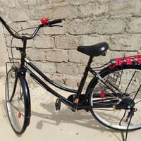 بايسكل • حجم ٢٦ • فانتوس