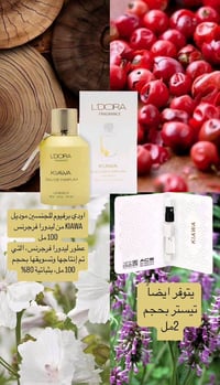 عطر رجالي • صيفي • ثبات ٧٢ ساعة