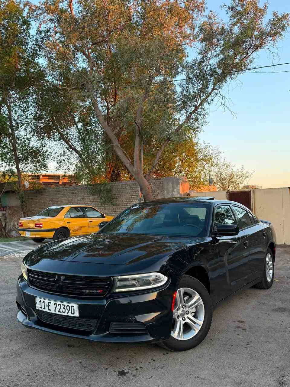 السلام عليكم جارجر 2020 اصل sxt بلص فول مواصفات ١/١ السعر ( 186$) مكانها بغداد زيونه *********** سياره جاهزه بدون نقص محرك 3600 سته سلندر / فتحه سقف / شاشه جبيره 
كشنات جلد وكهرباء / خزن ميموري / بصمه تشغيل + بصمه ابواب / حساس خلفي وكامره / سياره رقم بغداد بسمي تحويل مباشر السياره بيها صبغ ٣ قطع فقط بدون دواخل بدون ايرباك 
الباقي مكفول وشرط الفحص الشراي يتصل
