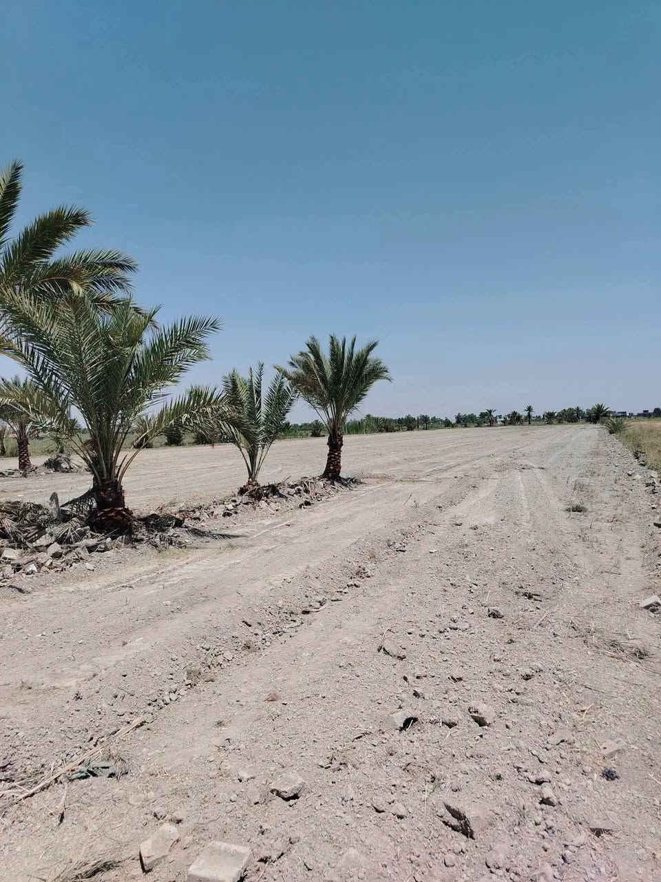 السلام عليكم يوجد5 دوانم التاجي منطقة الشيخ عامر  موقع كلش حلو
تبحث عن الهدوء والابتعاد عن زحمة المدينة والضوضاء؟  لدينا الحل! دوانم طابو زراعي سنة 25، تحويل وفتح بيان مباشر باسم المشتري، وبدون دفع أي فلس إذا لم ينفتح البيان باسمك وتستلم سند 
 _الموقع_:
- الدوانم كلها بالقرب منها مزارع وشاليهات وفلل 🏠
- مواقع مرتبة وكلش راقية 💯
- أرض خصبة 
- مثالية للسكن والاستجمام 🌳
- دوانم الك ولعائلتك لإنشاء المزرعة او مكان للترفيه 🏞️
💰 _الأسعار_:
-سعرالدونم 35وبي مجال 
🌟 _فرصة استثمارية_:
- للسكن 🏠
- للزراعة 🌾
- لبناء مزرعة لك ولعائلتك 🏞️
ثاني يوم فتح بيان 
ليحب ياخذ لوكيشن الارض يتصل ويدلل 

📞 _للاستفسار***********
