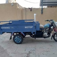 ستوته ٢٠١٩ • نضيفه • أوراق أصولية