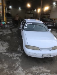 فراشة • ١٩٩٦ • النجف