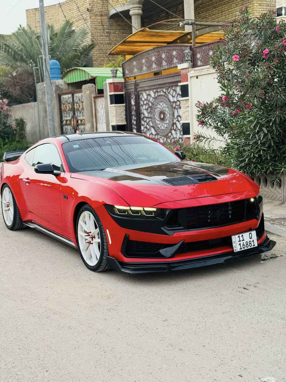 موستنك GT2024
السياره جديده بمعنى الكلمه ترهم  

 فقط بنيد

جاملغ تكحيل كارت  جداً بسيط 

السياره تعبان عليها وصارف عليها مانقصها اي شي جاهزه 100‎%‎ 

عليها اضافات 

شوت 

 وستيرن كاربون فايبر

وبك لايت ابيض اوربي

ولحيه 

 ppf بنيد وقماره وجنطه 

كاج كان

لدات دعاميه ابيض

اكس بايب كورسا

برمجه سيف تيتو

ستريس بار

ويل نيش صبغ درجه اولى ابيض 7 شذرات

سبايدر دارك هورس

لواصق اصلي ونانو سيراميك 

ماشيه 16000 كيلو 

اكتف اكزوز 

بريميوم

ديجيتل

رادار امامي وخلفي وجانبي

السياره معروفه وبلعافيه ع الياخذها

السعر والاستفسار هذه رقمي ترهم مراوس او بيع
مكان السياره الناصرية

***********
