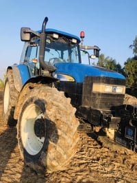 هولندي للبيع السعر اتصل عل رقم /بيه وتساب ‭0780 832 6059‬