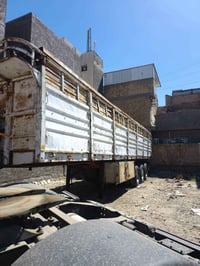 عربانه بلوم للبيع جاهزه للشغل  أربط وأطلع طول ١٢ونص ثلاث دناكير  ١٤مدو...
