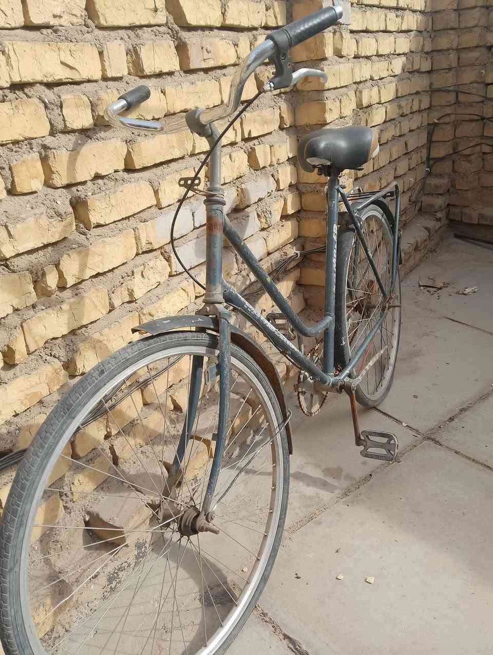 بايسكل بناتي حجم27  ب35وبي مجال رادلة ترتيبات  بسيطة


**إذا كنت صاحب هذا الإعلان وتريد حذفه لأي سبب، رجاءا أرسل رسالة إلى الدعم الفني**