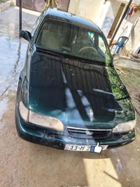 سوناتا ٢ • ١٩٩٥ • دلي عباس