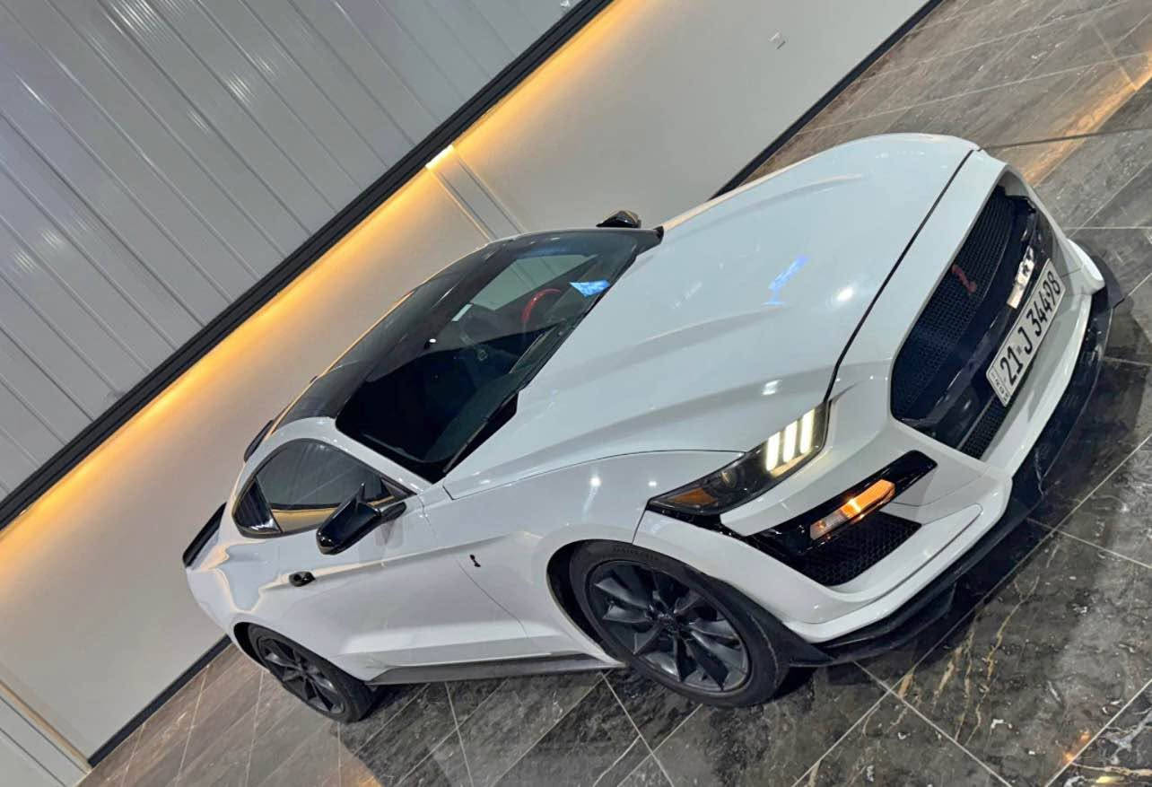 كوردى / عربي
Ford Mustang 2016 ecoboost

١١٥ ميل رۆيشتووه
 هه موو گيانى شه ريكەيه بىێ ده سكارى
بوياخ جەمه له خى سايەق و نوكى بۆنيت بێ ناو گرتن.
 مه كينه ٢.٣ تۆربۆ چارج hp310
گێر ومه كينه به شەرت
زۆر كەم به نزين سه رف ئه كات و زۆر به قوته.
 ئيرباگى سوكان تەقيوه و شەريكەی بو دانراوەتەوه به شەرت
نرخ  ١٣٥$ 
 به ناوى خۆمانە وسەنەوى تا ٢٠٢٨ تازەيه.
 سه ياره كه له سليمانيە

***********
***********
whats app & viber

عربي /
ford mustang 2016 ecoboost
ماشيه ١١٥ مايل
سيارة كل شي بلادي
جامخ سايق صبغ و شوية من بنيد بدون دواخل مكينة ٢.٣ توربو ٣١٠ حصان مكينة و كير بشرط مابي أي خلل
صرفية بنزين كلش قليل و إقتصادي و مكينة كلش قوية سياره بسمى و سنويه جديده لحد ٢٠٢٨
ايرباك ستيرن طاك و راجع بلاديه
سعر ١٣٥ $
مكان السيارة السليمانیة
***********
***********
whats app & viber السليمانية, العراق
