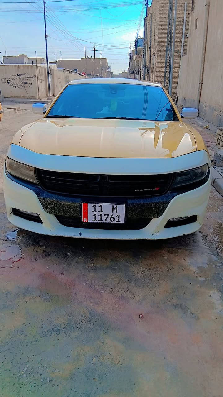 جارجر اللبيع مديل 16 اصل بسمي تحويل ثاني يوم سياره حادثه بس جاملغ صفحت صايق مبدل بدون ارباك كشنات حظن تتفه دبريد شاشه جبيره ***********
