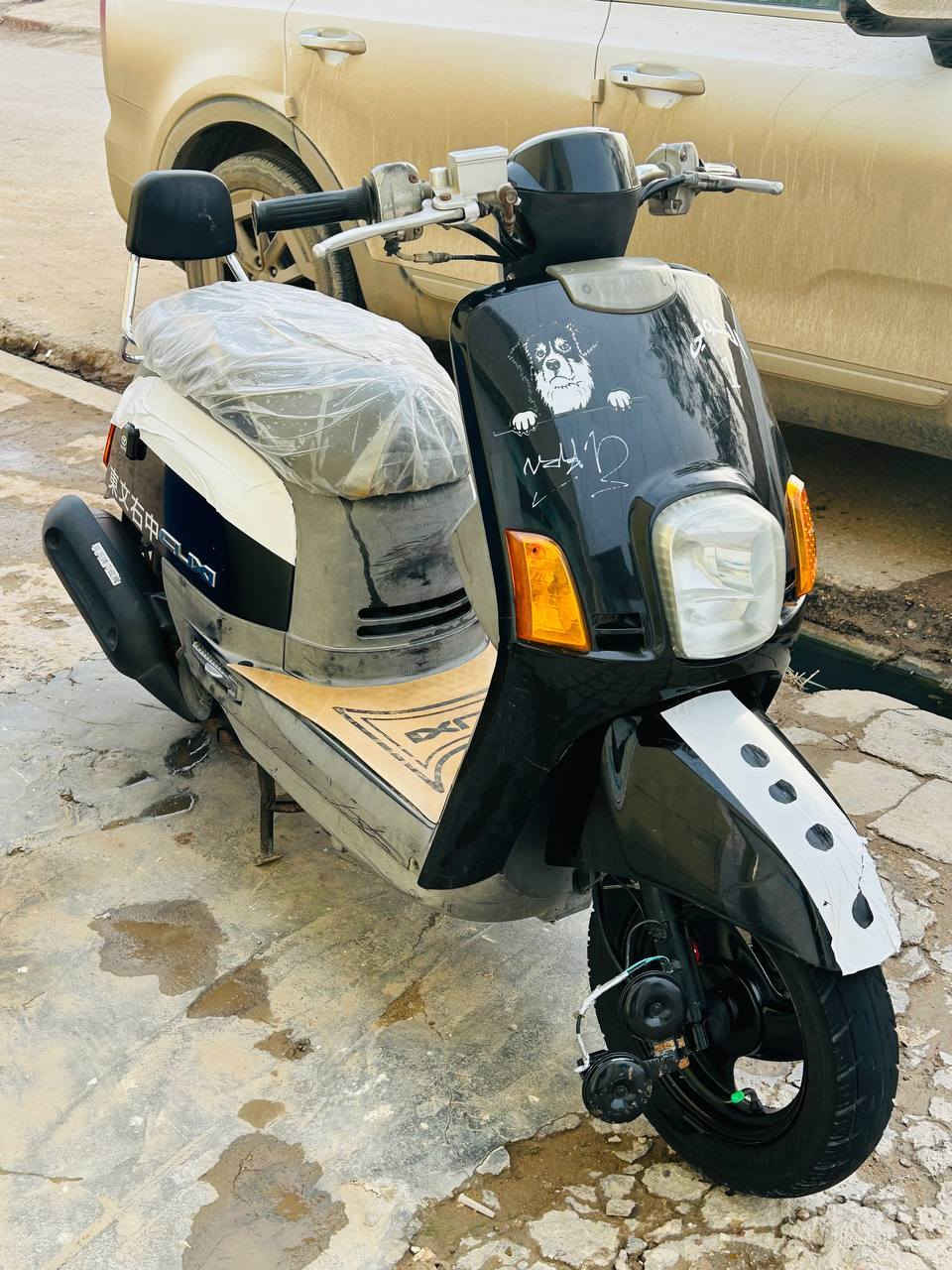 السلام عليكم ماكس بوليس 2008كفاله شرط 🍃وصل معرض باسمي شلعه ومعدل طيران ملاح فول ختم واحد وي لفشكه
الدراجه متعوب عليه السعر مليون او 100وبيها مجال كلش قليل شراي تشلع عيوني وتاخذه مو شراي وتكسر بيه اسمعك كلام مو حلو الاتصال *********** مكاني بابل القاسم
