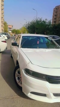 SXT • ٢٠٢٣ • وارد امريكي