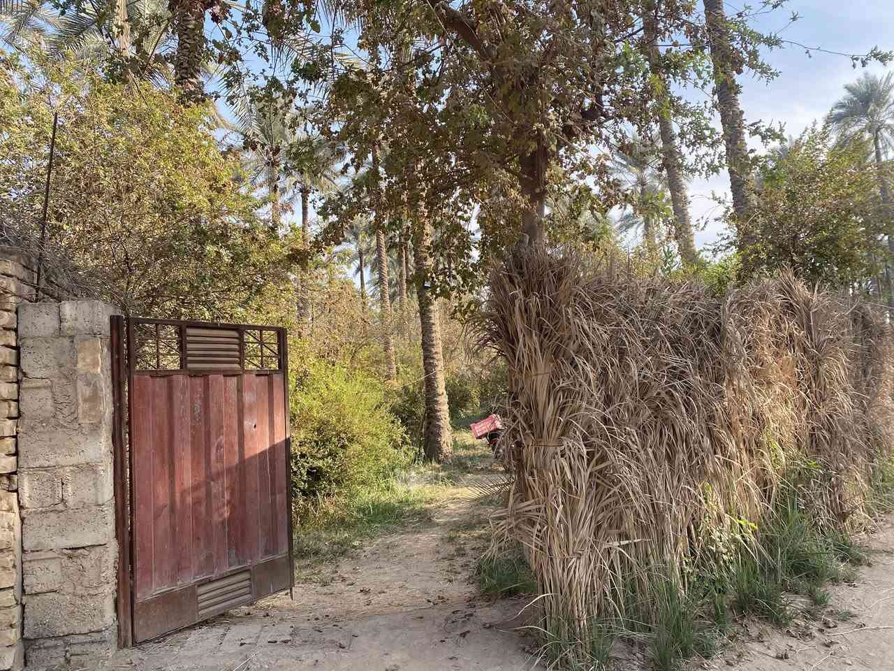 بستان مساحه دونمين واجه54ونص نزال90 سند مملوك للدوله
مكان ديالى ركه حاج سهيل سعر 150 وبيها مجال 
***********
