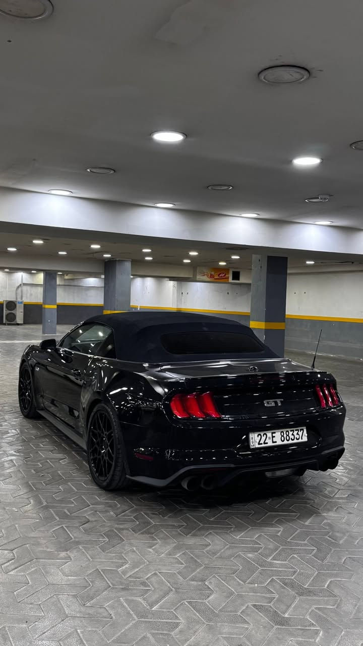 2021 gt فورد موستانك
فول  مواصفات1/1  للاخير   دجتال  داخل جلد   اكتف   ترحيب  شكو مواصفات بالموستنك موجودة بيها  كلش  قطعة واحد صبغ  فقط بدوون ايرباك السيارة 
   (نص جاملغ خلفي  الصبغ )
ماشية 30 الف  ميل فقط . ‎السياره كلها بلادية
عليها  هوائيات  وبرمجة وكلش قوية معروفة بنظافتها  .
وبيها كواتم اكتف  تطفي من يمك الصوت .
حادثها موضح بالصور  كفالة عامة بدون لغد بدون شاصي   بجم  كبس  علما  ان الباب  راجعة وكالة نفس اللون    بدون صبغ  فقط الجاملغ  خلفي نصة مصبوغ   فقط ،،بدون دواخل ومحرك وتبريد وصدر  مكفولات وجديدات  رقمها اربيل  هزة  جديدة وسنوية   تحويل مباشر مني  ورقم   جديد لل2030  سعرها 
210  ورقة وبيها مجال بسيط   نزلت  سعرها   مراعاة  للسوك  والوضع   والسيارة نظيفة و متعوب عليها  متتقارن بالمهجومات 🖤

*********** سجاد الخفاجي  مكاني زيونة او يرموك

