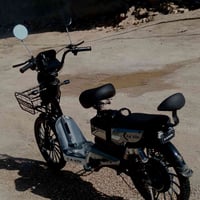 دراجة شحن • حجم كبير ٢٠ • بابل