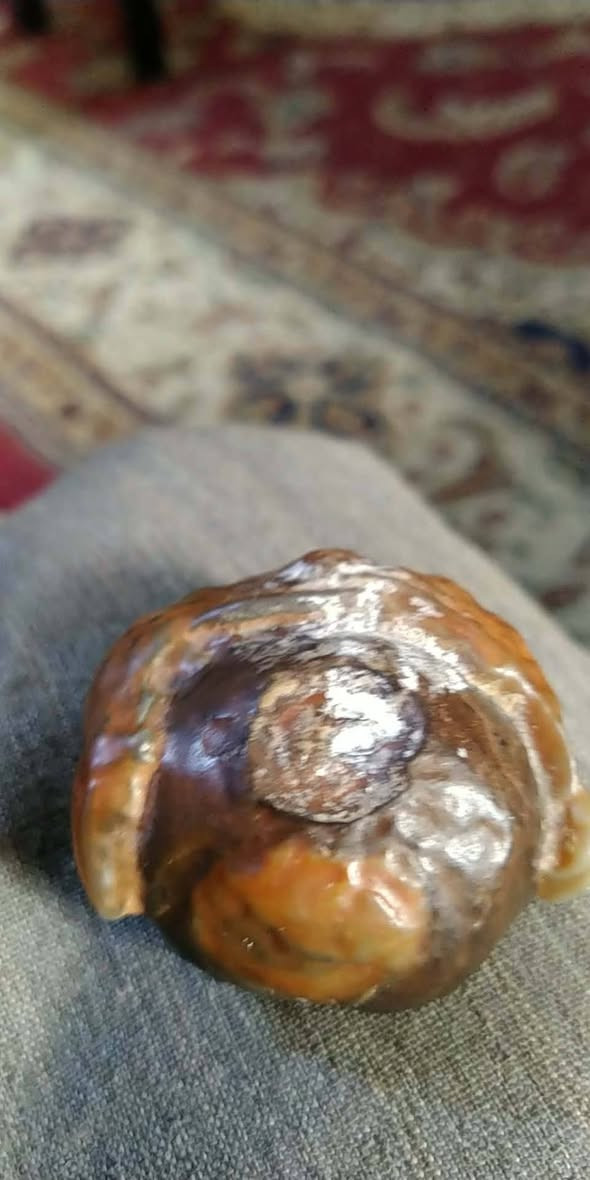 لبيع


**إذا كنت صاحب هذا الإعلان وتريد حذفه لأي سبب، رجاءا أرسل رسالة إلى الدعم الفني**