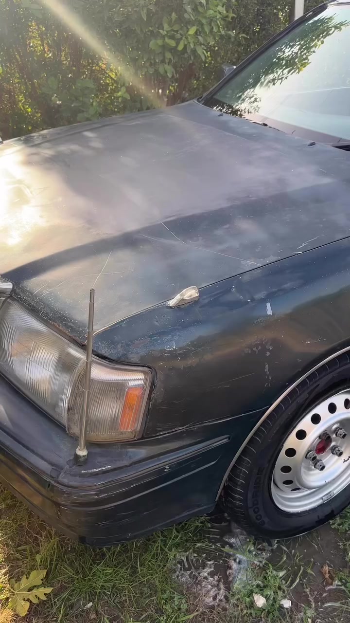 راس الثور 96 تكم رقم بغداد سنويه منتهيه ب 20 بيه تداخل صاحبه الشرعي موجود حاضر عد البصمه السياره مال جناي السعر45 مكاني الديوانية المهناوية ***********
