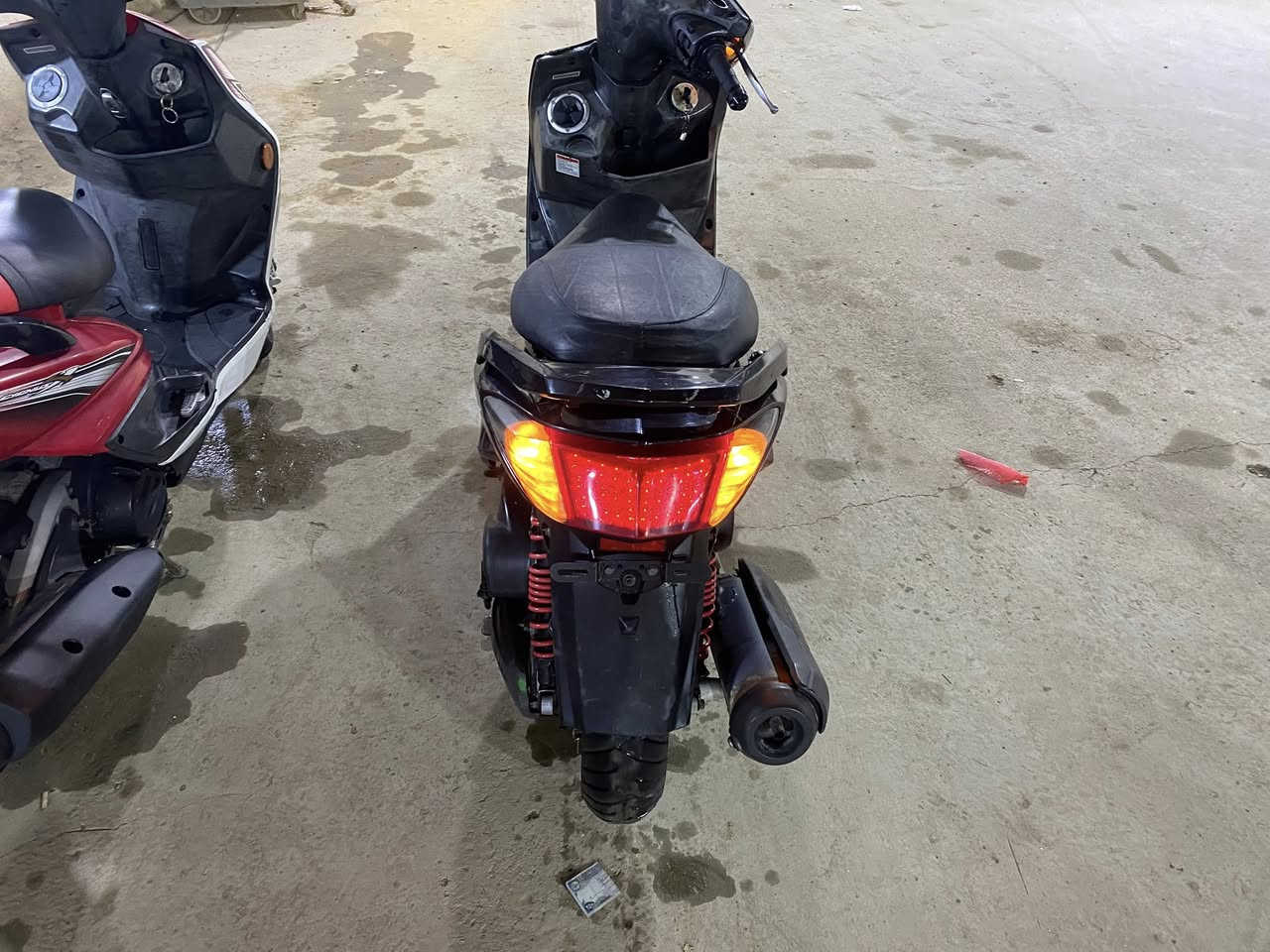 سكنس فحل البيع السعر ٧٥٠
***********
