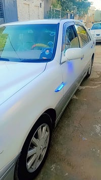 ملكه لل بيع كفاله بيه فقط طخه بسيطه بلجنطه عل بارد لا معجون ولا صبغ جا...