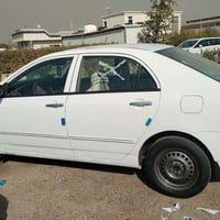 بي واي دي • ٢٠١٠ • مصبوغة