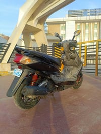 دراجه سكنس فحل مكفوله كفاله عامه مال رمبه شرط محرك مامفتوح السعر 650 ب...