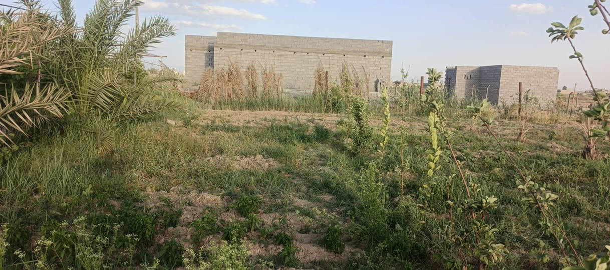 سلام عليكم بيت كامل منه غرف عدد2 و الحمام و الباغي  بعده و جواه ارض اكثر من دونم و نصف طابو زراعي سند 25 ماء جواه و كهرباء فوكاه و سكن موقع حلو و 
مرتب للستفسار *********** موجود واتساب 
سعره مناسب جدا
