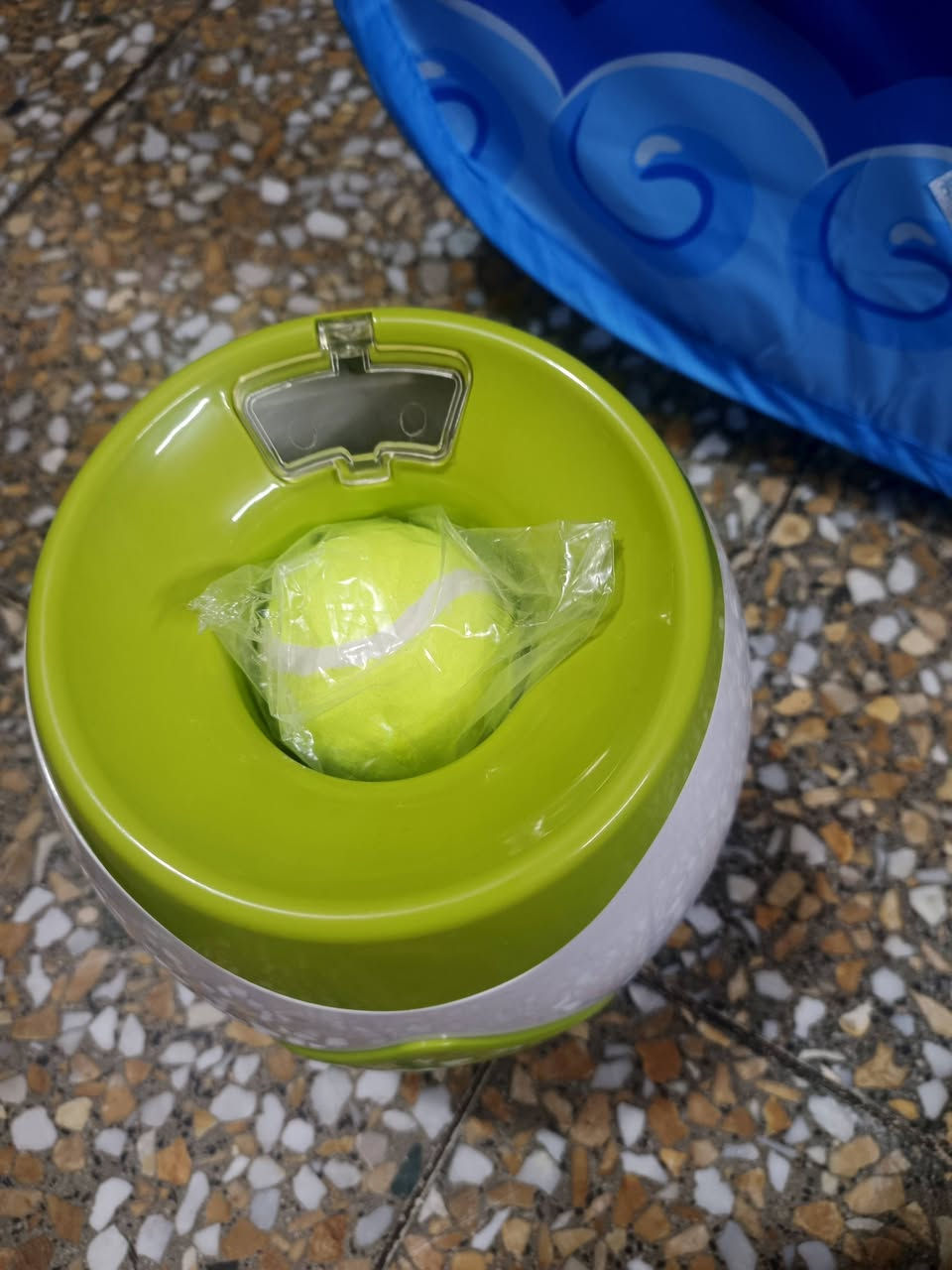 يالله السلام عليكم
لعبه تفعاليه للقطط 
سعره 15مع التوصيل


**إذا كنت صاحب هذا الإعلان وتريد حذفه لأي سبب، رجاءا أرسل رسالة إلى الدعم الفني**