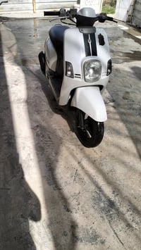 دراجة بوليسي • طوريج السياحي • نضيفه