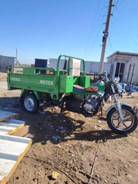 ستوته • مكفوله • موديل ٢٢