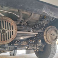 هورنات بوش للبيع المانيات عل شرط اطيهن07703898951